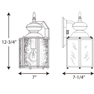 Roman Coach One Light Wall Lantern (P5777-20)