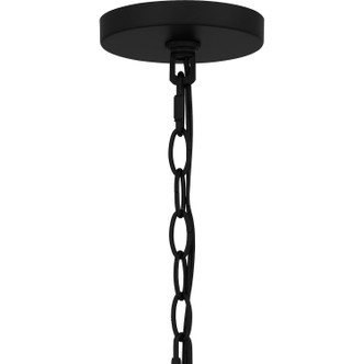 Buckley One Light Outdoor Hanging Lantern (BUK1907MBK) Buckley One Light Outdoor Hanging Lantern (BUK1907MBK)