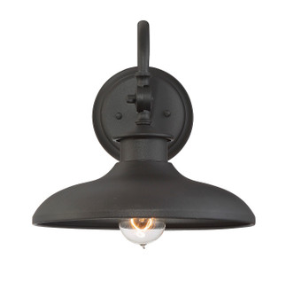 Raleigh One Light Wall Mount (5-9584-BK)