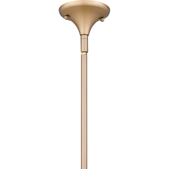 Remy Eight Light Chandelier (REY5042BGD)