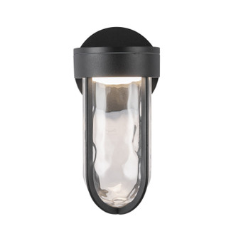Davy LED Exterior Wall Sconce (EW17627-BK)