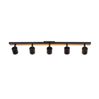 Arnold LED Track Lights (TR19035-BK-5CCT-UNV-010)