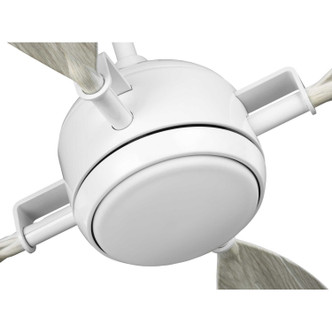Rudder 56"Ceiling Fan (P250040-028-30) Rudder 56"Ceiling Fan (P250040-028-30)