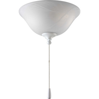 Fan Light Kits LED Fan Light Kit (P2612-01WB)