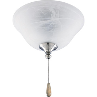Fan Light Kits LED Fan Light Kit (P2612-01WB)