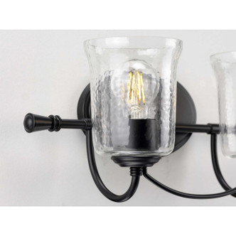 Bowman Two Light Bath (P300254-031)