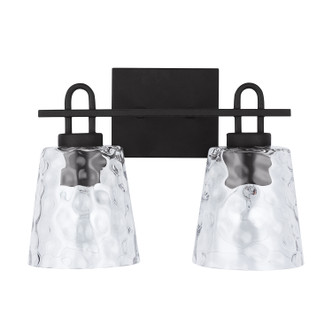 Fenton Two Light Vanity (138322BI-492)