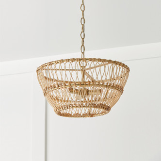 Wren Three Light Dual Mount Semi Flush/Pendant (244131MA)