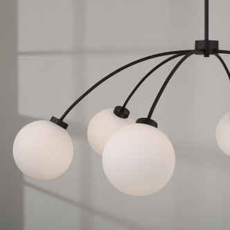 Amos Six Light Chandelier (457161BI-557) Amos Six Light Chandelier (457161BI-557)