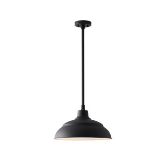 RLM One Light Outdoor Hanging Lantern (936312BK)