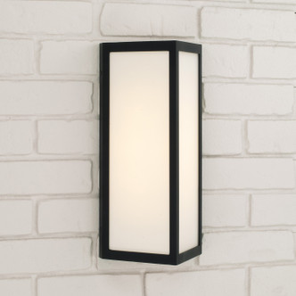 Irvin One Light Outdoor Wall Lantern (954711BK-LD)