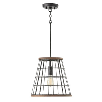 Bracken One Light Pendant (AA1001ZW)