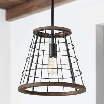 Bracken One Light Pendant (AA1001ZW)