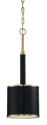 Quinn One Light Mini Pendant (48891-SB)