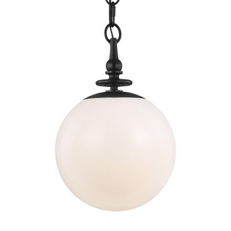 Capri One Light Pendant (TP1031AI)