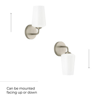 Celino One Light Wall Sconce (P710149-009)