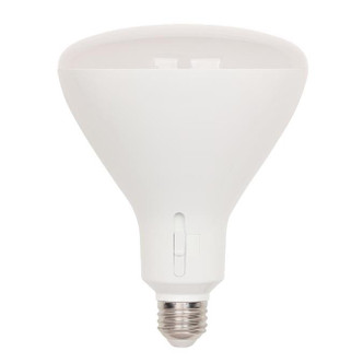 Westinghouse Lighting - 5348000 - Light Bulb - Frost