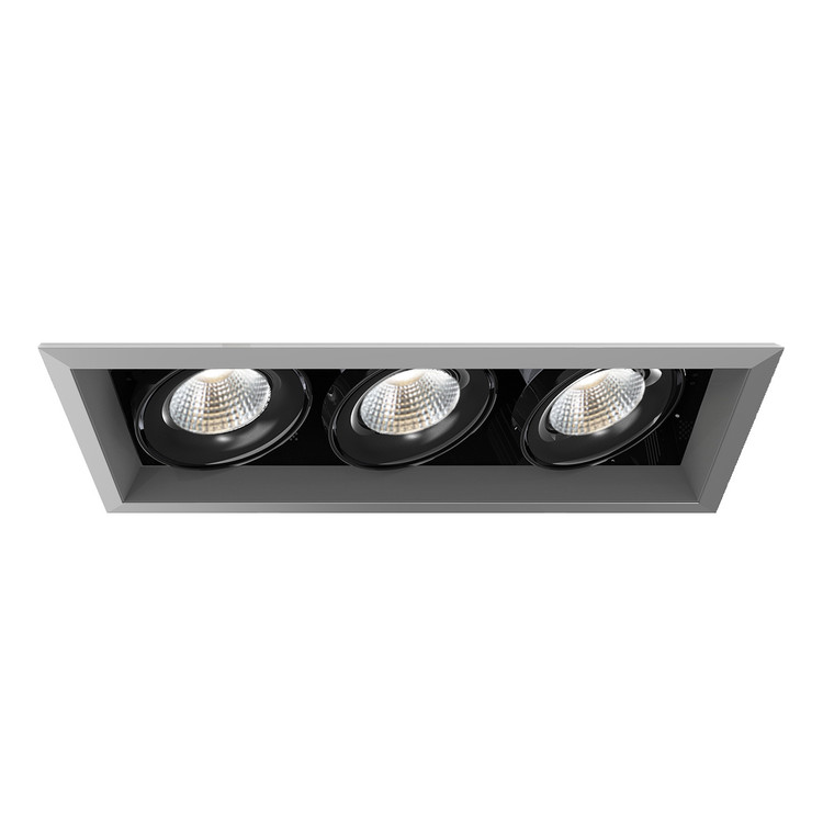 Eurofase - TE133LED-40-2-0N - MULT26WTRM3LT40KPT/BLK - TE SERIES - Platinum
