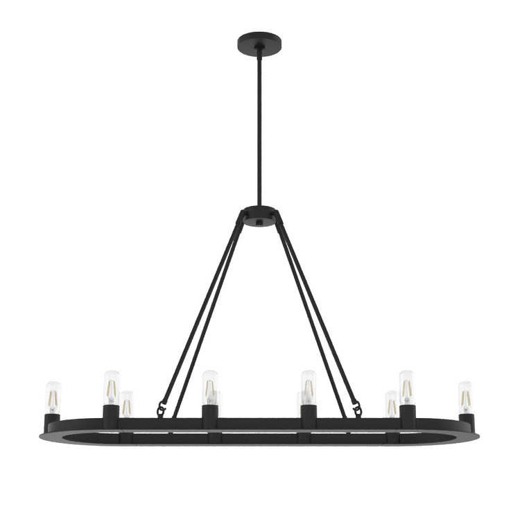 Hunter - 19027 - Ten Light Chandelier - Saddlewood - Natural Black Iron