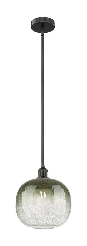 Innovations - 616-1S-BK-G481-10SL - One Light Mini Pendant - Edison - Matte Black