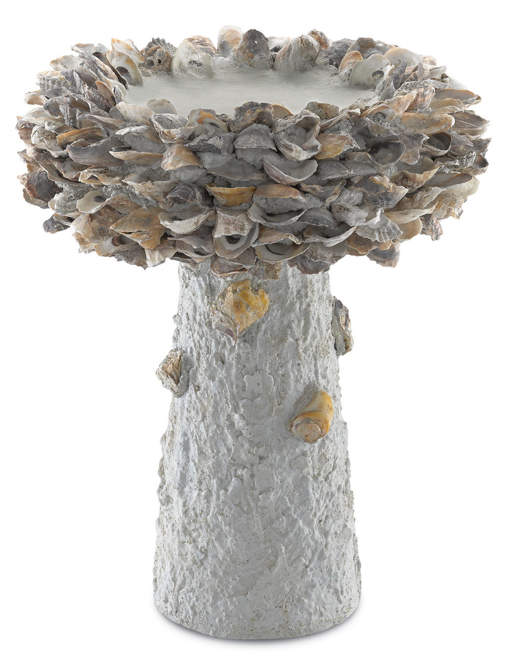 Currey and Company - 1200-0053 - Bird Bath - Oyster Shell - Portland/Natural
