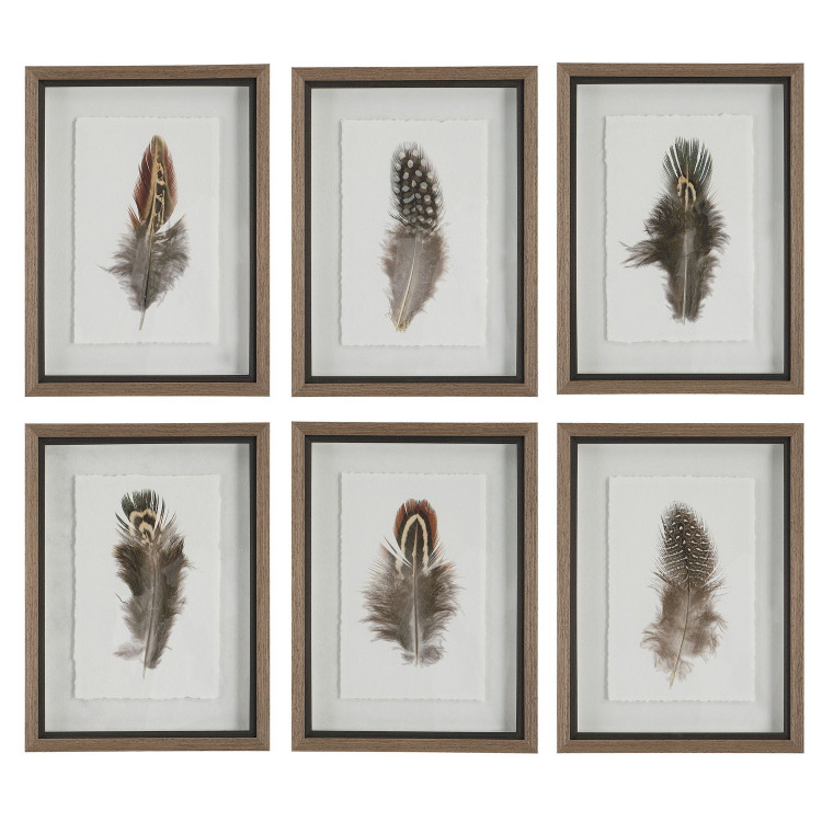 Uttermost - 41460 - Framed Prints S/6 - Birds Of A Feather - Natural Wood Tone