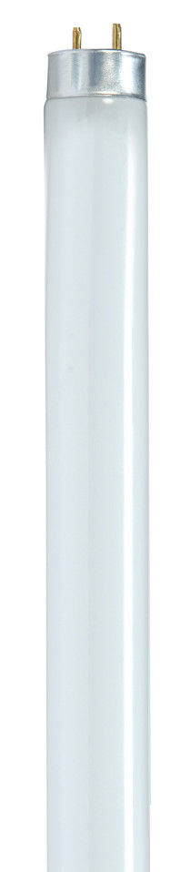 Satco - S8419 - Light Bulb - Gloss White