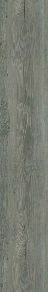 Elegant Lighting - LVFGRY03-7-5.5-V2 - Luxury Vinyl Flooring - Legacy - Ash Grey