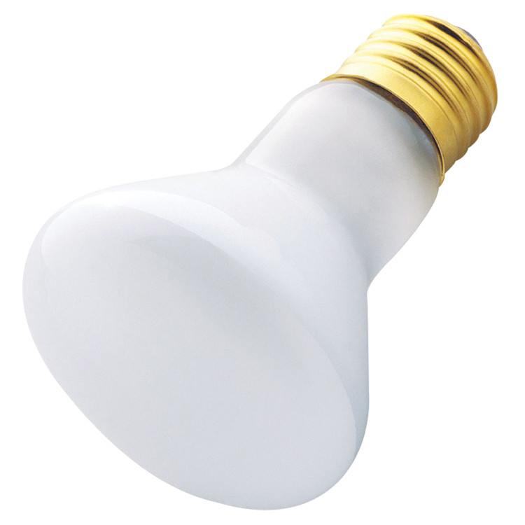 Westinghouse Lighting - 0430300 - Light Bulb - Light Bulb - Frost