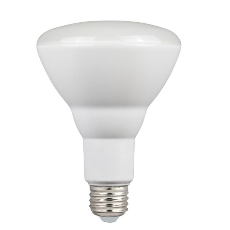 Westinghouse Lighting - 5008100 - Light Bulb - Frost Westinghouse Lighting - 5008100 - Light Bulb - Frost