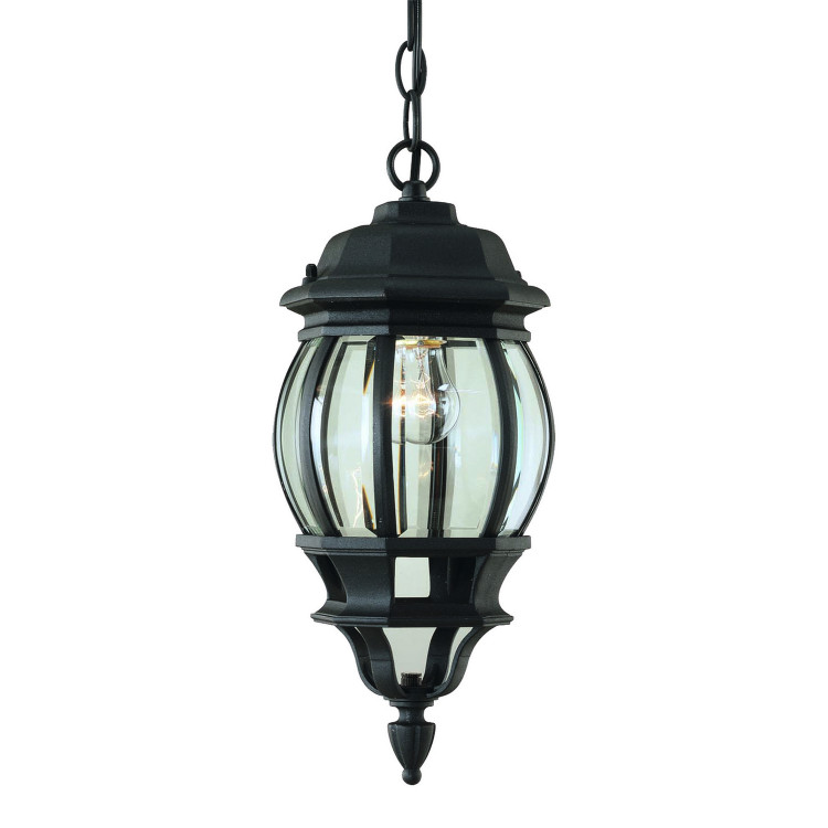 Forte - 1702-01-04 - One Light Outdoor Pendent - Black
