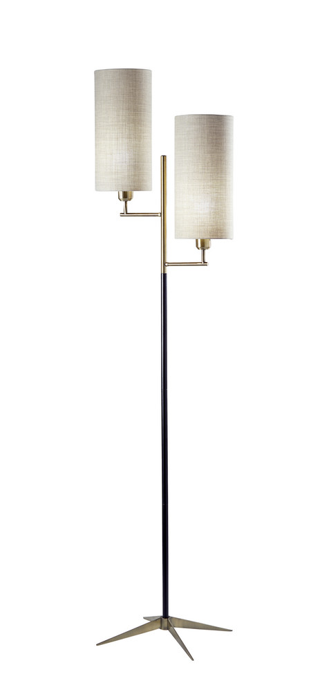 Adesso Home - 3474-01 - Two Light Floor Lamp - Davis - Matte Black & Antique Brass