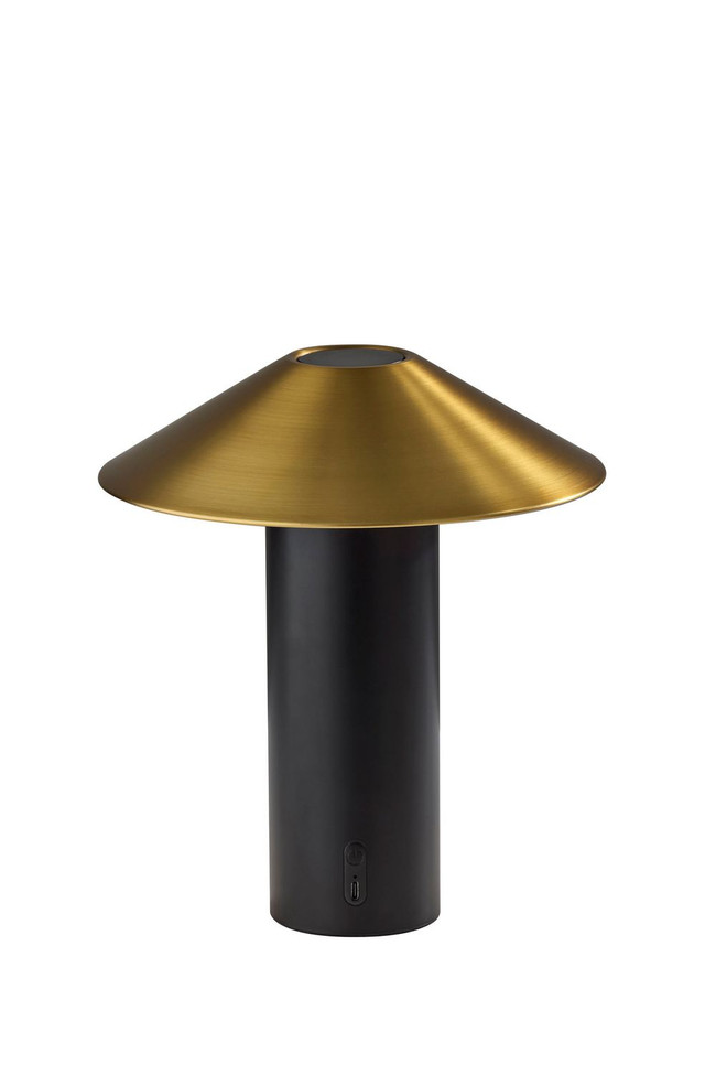 Adesso Home - AD9205-01 - LED Table Lamp - Pina - Black W. Antique Brass