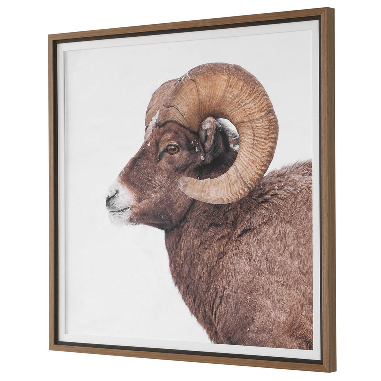 Uttermost - 32546 - Framed Print - Big Horn