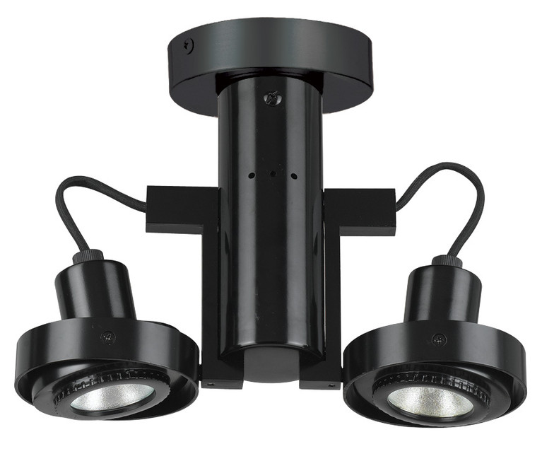 Cal Lighting - CE-962/MR-16-BK - 12V Mr-16 Two Lights 50W Max Ea Tr - Dual Spot - Black