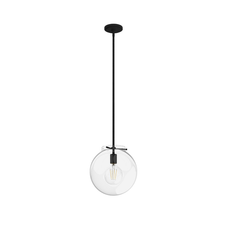 Hunter - 19660 - One Light Pendant - Sacha - Natural Black Iron
