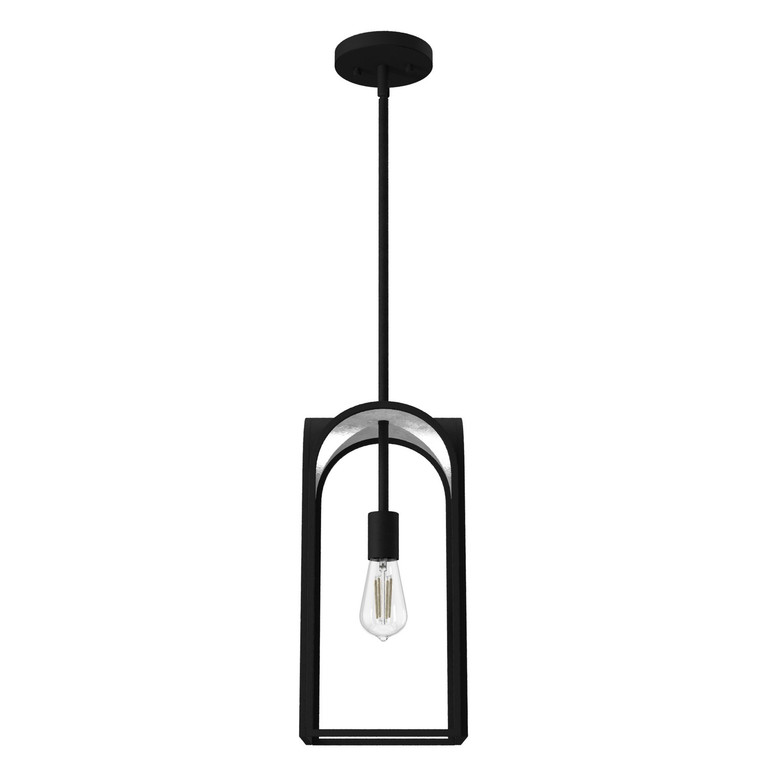 Hunter - 19738 - One Light Pendant - Dukestown - Natural Black Iron