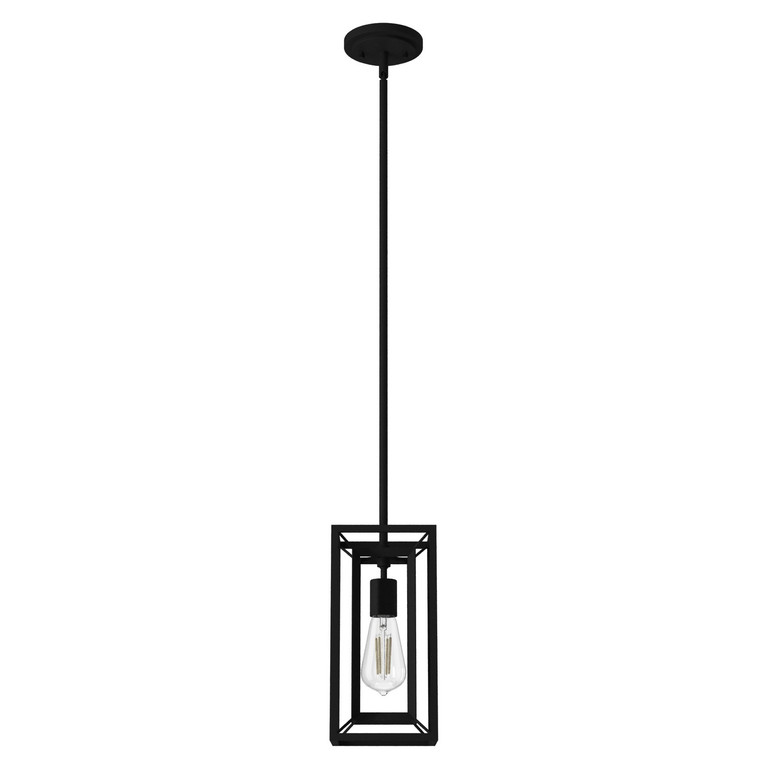 Hunter - 19755 - One Light Pendant - Doherty - Natural Black Iron