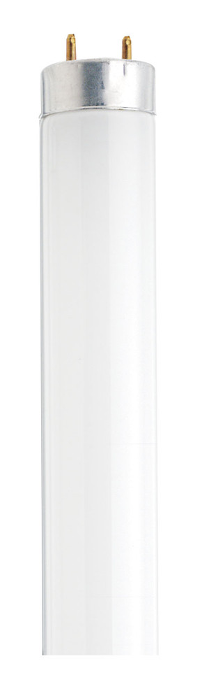 Satco - S6510 - Light Bulb - Frost