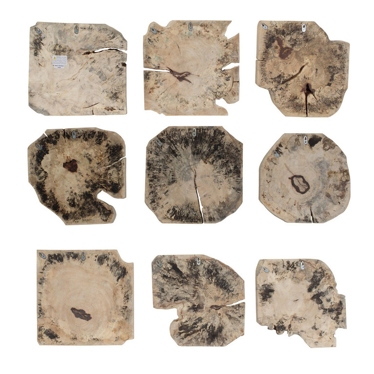Uttermost - 04398 - Wall Decor Set/9 - Bahati - Light Bleached