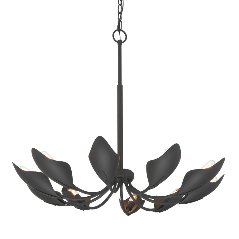 Hunter - 48222 - Ten Light Chandelier - Juneway - Matte Black