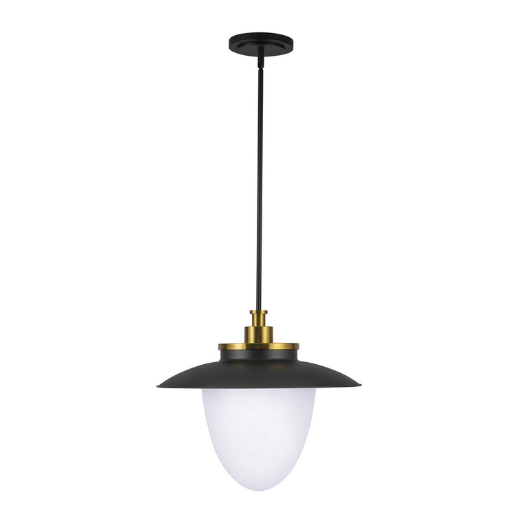 Artcraft - AC11906BB - Three Light Pendant - Dahlia - Brushed Brass