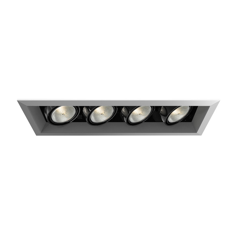 Eurofase - TE164A-0N - MULTPAR20TRM4LT50WPT/BLK - PAR20MULTI-GEN - Platinum