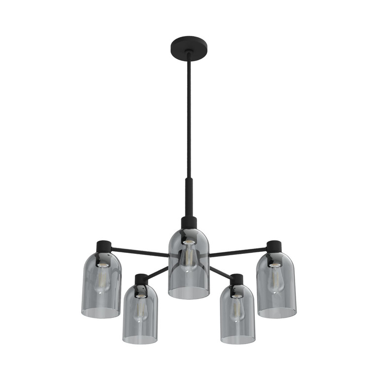 Hunter - 19198 - Five Light Chandelier - Lochemeade - Natural Black Iron