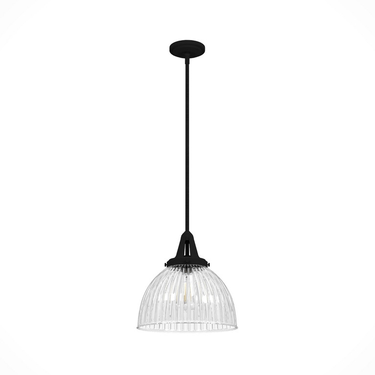 Hunter - 19249 - One Light Pendant - Cypress Grove - Natural Black Iron
