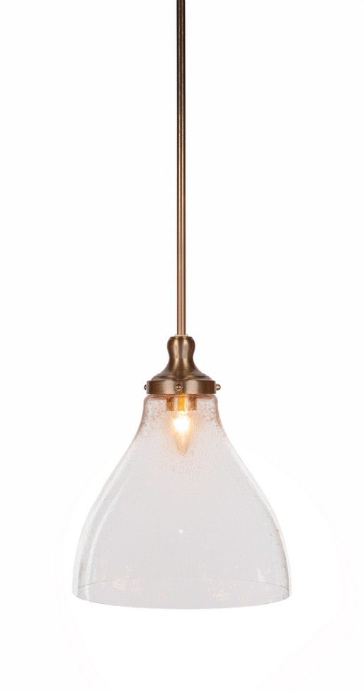 Toltec Lighting - 79-NAB-4720 - One Light Pendant - Juno - New Age Brass