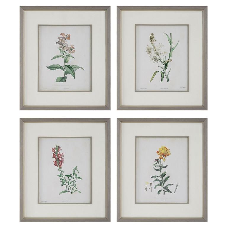 Uttermost - 32285 - Framed Prints Set/4 - Heirloom Blooms - Gray