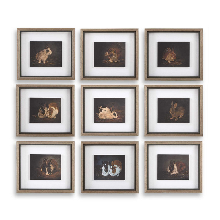 Uttermost - 32386 - Framed Print - Resting Bunny