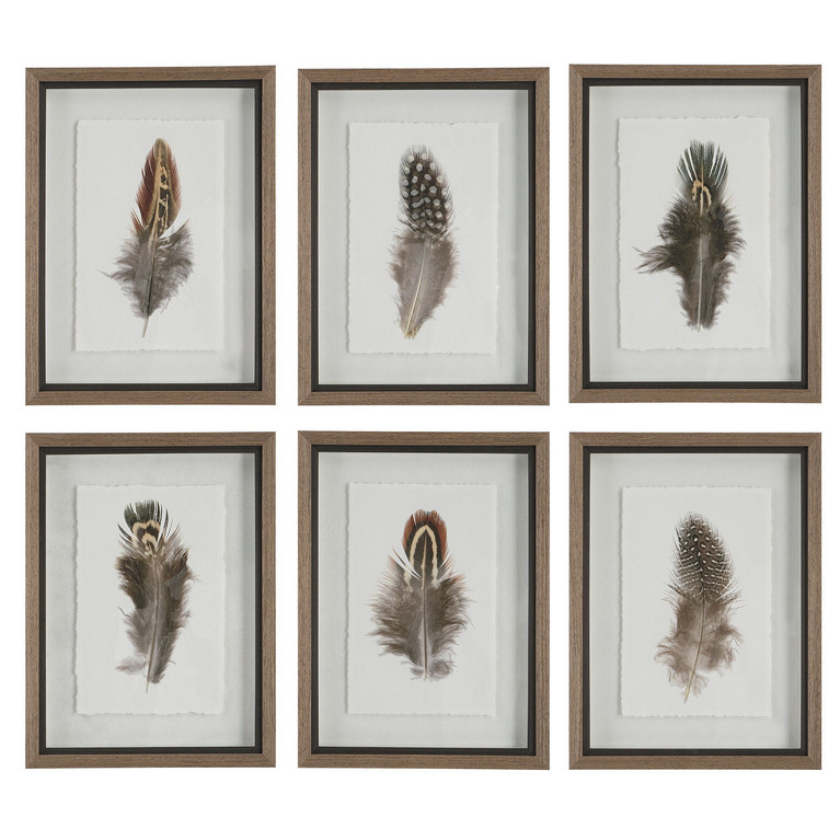 Uttermost - 41460 - Framed Prints S/6 - Birds Of A Feather - Natural Wood Tone