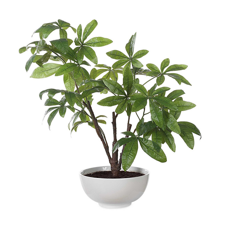 Uttermost - 60225 - Tree - Pachira Money - Glossy White